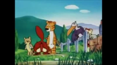 Misha Bear (Opening)