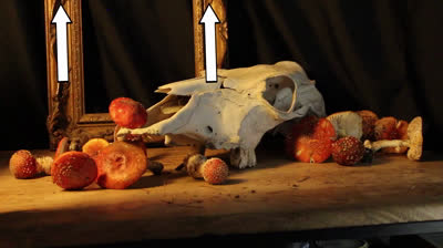 How to Paint a Still Life: EPISODE SEVEN - Vanitas with Goat Skull and Flowers