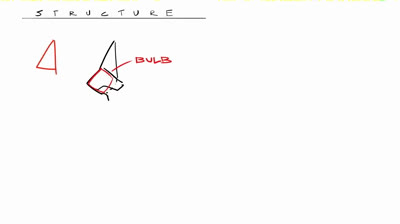 Anatomy Quick Tips: Noses