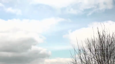 Los paisajes de Julian Opie | TateShots