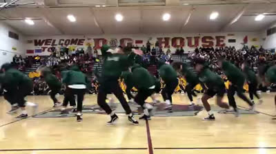 WATCH OUT | The Lab Performance