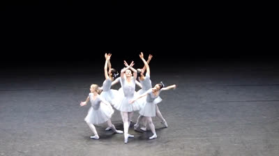 FUNIEST BALLET CHOREOGRAPHY EVER