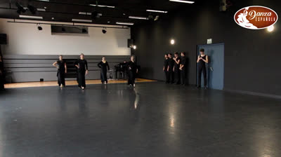 See This Advanced Class of Spanish Dance