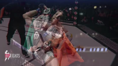 TOP 10 Incredible MMA Fighters