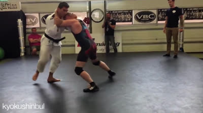 WHO WINS? Judo VS Wrestling