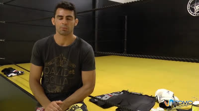 MMA Basics: The Guard and Basic Punches