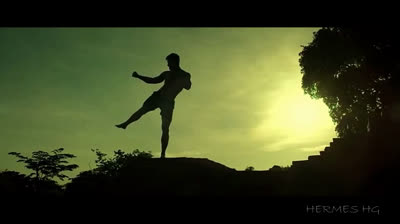 MARTIAL ARTS MOTIVATION