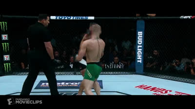 Conor McGregor VS Nate Diaz (MMA Fight)