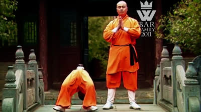 KUNG FU IN REAL LIFE