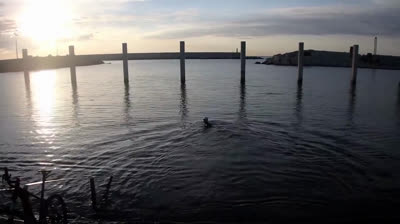 Swimming technique in open water