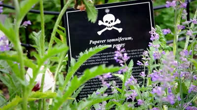 The 10 most dangerous places on Earth