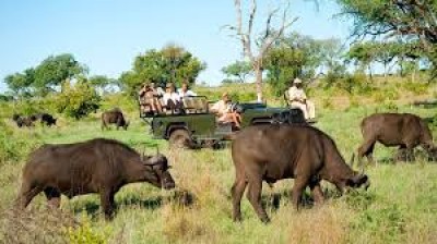 De safari por Sudáfrica