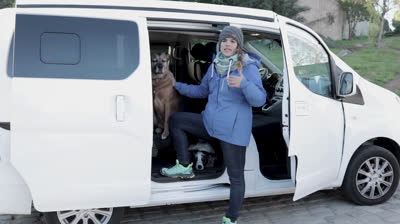 Tips and recommendations for traveling with dogs by car