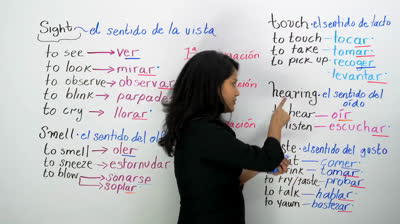20 verbos españoles para los cinco sentidos