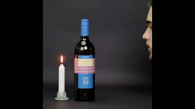 20 homemade experiments