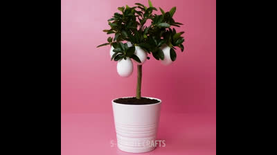 24 CRAZY experiments!!!