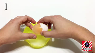 Scientific tricks with EGGS!!!