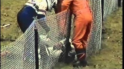 Tribute to Gilles Villeneuve (Ferrari)