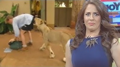 Les moments d'animaux de folie à la TV