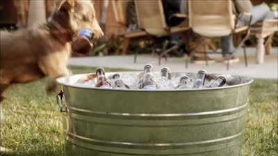 Bud Light “Rescue Dog” TV Commercial