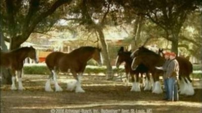 Top 10 Best Super Bowl Commercials 2008 (SuperBowl XLII)