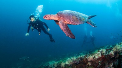 Diving in Galapagos!!!!