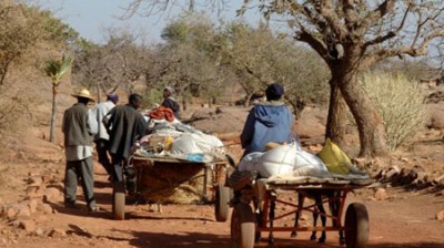 La historia de Mali. Trucos para viajar