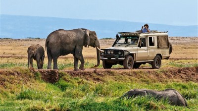What to do in Kenya?