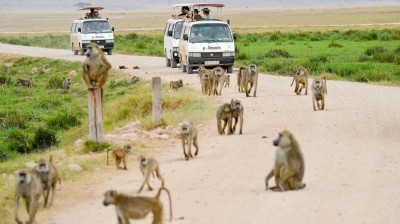 Conduciendo por un safari en Kenia