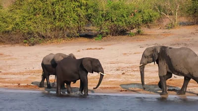 4x4 travel in Botswana