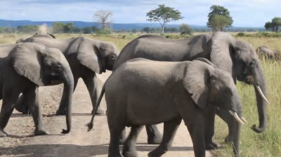 Discovering Tanzania