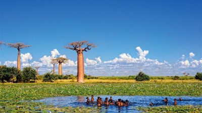 Madagascar, el paraíso