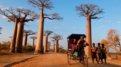 Consejos si viajas a Madagascar