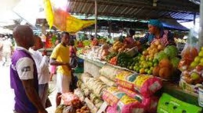 Travelling guide, Maputo.