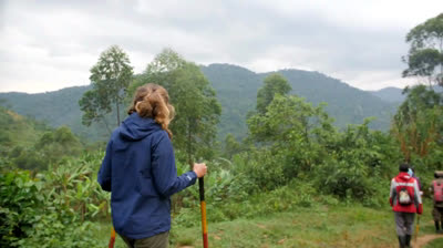 En búsqueda de gorilas en Uganda