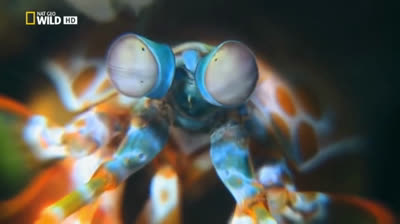 Los lugares mas increibles del océano | Documental