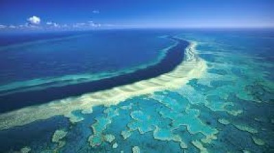 Alla scoperta della grande barriera corallina australiana