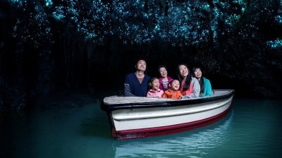 Glowworms Waitomo Caves