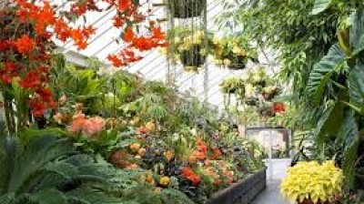 Wellington botanic garden