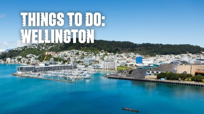 Holidays in Wellington