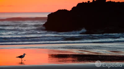 Auckland. New Zealand