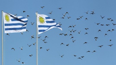 Travelling around Uruguay