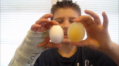 Experiments with eggs