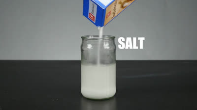 Experimentando con la sal