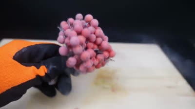 Esperimenti con azoto liquido