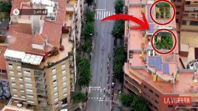 Descubren una plantación de marihuana en La Vuelta 2019