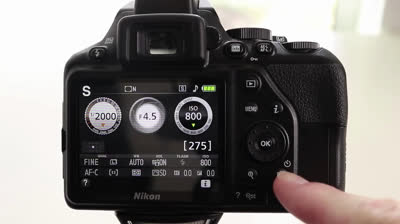 Sports photography for Canon and Nikon