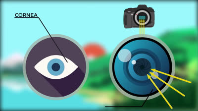 Tutorial for beginner photographers