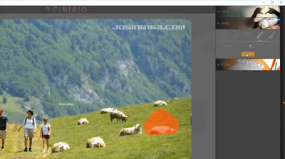 Cleaning your camera sensor