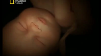 The sensations a baby has in their mom's belly